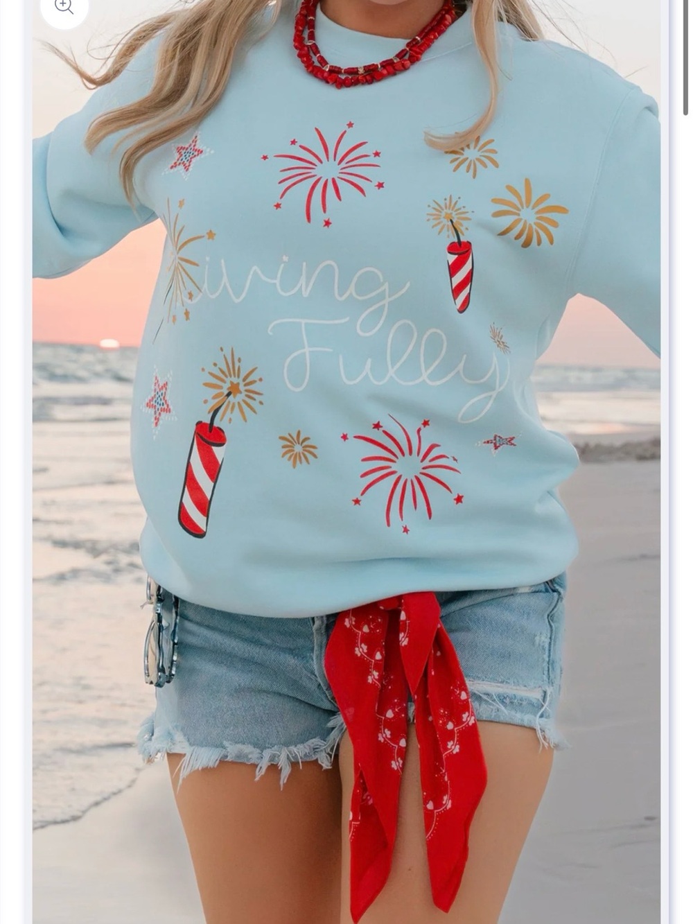 ISO Living Fully Fireworks Sweatshirt Do not buy